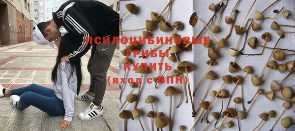 тгк Армянск