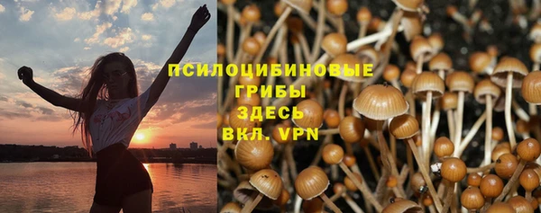 молекула духа Аркадак