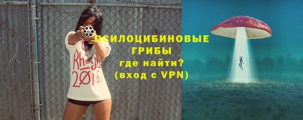 молекула духа Аркадак
