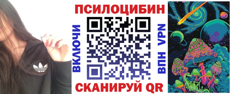 Псилоцибиновые грибы GOLDEN TEACHER  купить наркотики цена  Аша 