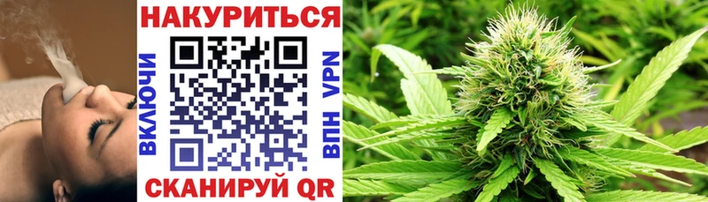 где найти наркотики  Аша  Марихуана планчик 